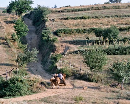 Banát - pohled na krajinu